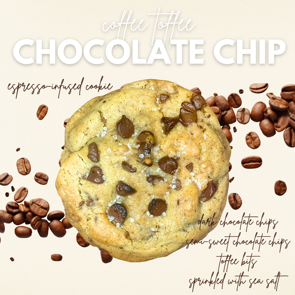 Coffee Toffee Chocolate Chip